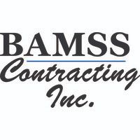 bamss_group_of_companies_logo.jpg