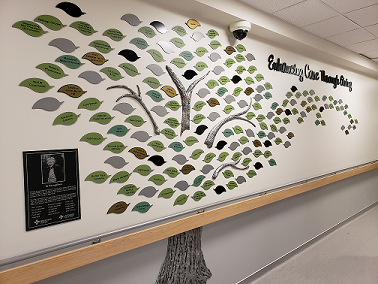 Donor Display web.png