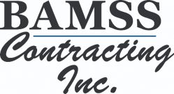 BAMSS_logo_2016.jpg